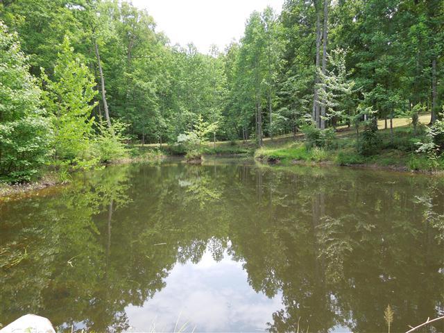 681 Edenway Road Dover, TN 37058 - Photo 4 of 20 1 Large pond, 1 small pond. Fishing deck to side.