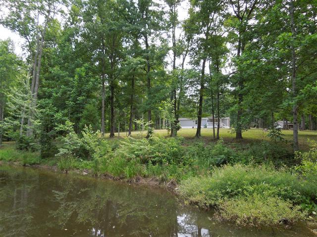 681 Edenway Road Dover, TN 37058 - Photo 5 of 20 View of home from the pond. Stocked ponds in past years!