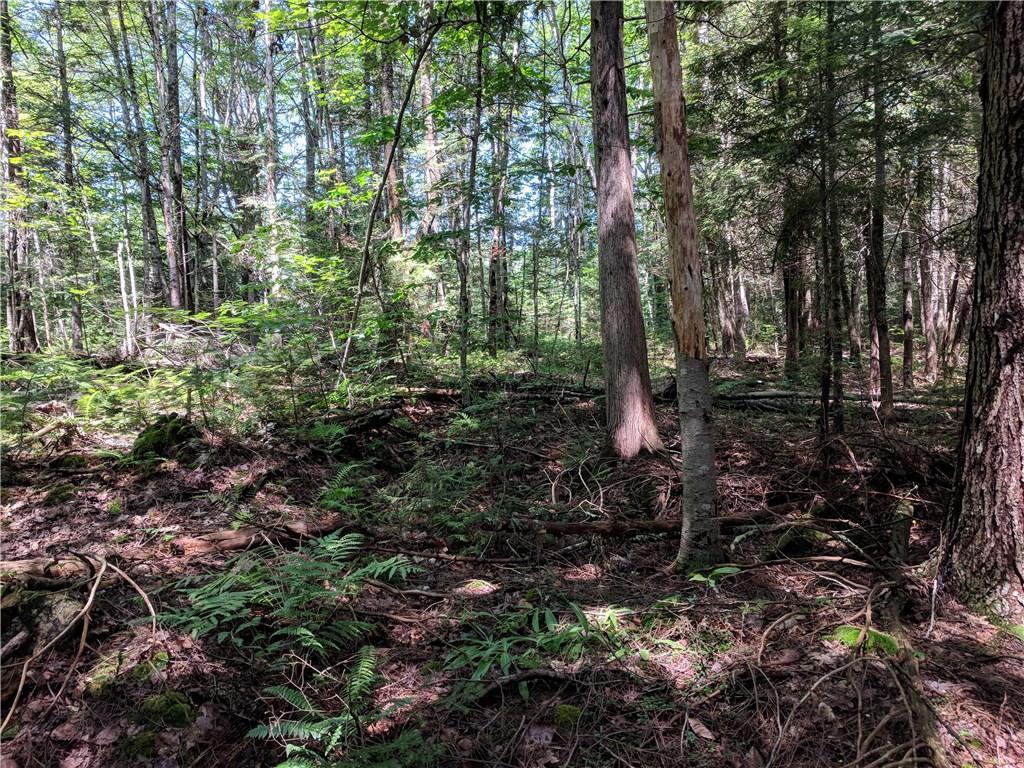136 Gibbs Road Wiscasset, ME 04578 - Photo 8 of 17 Photo