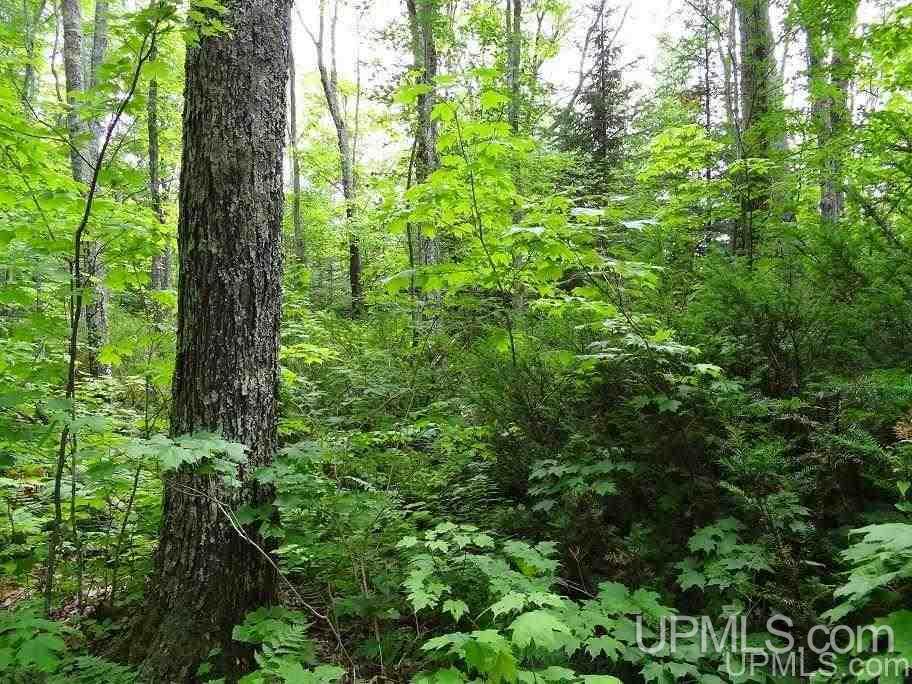 Tbd Lots Road Toivola, MI 49965 - Photo 16 of 16 Gallery Image 16