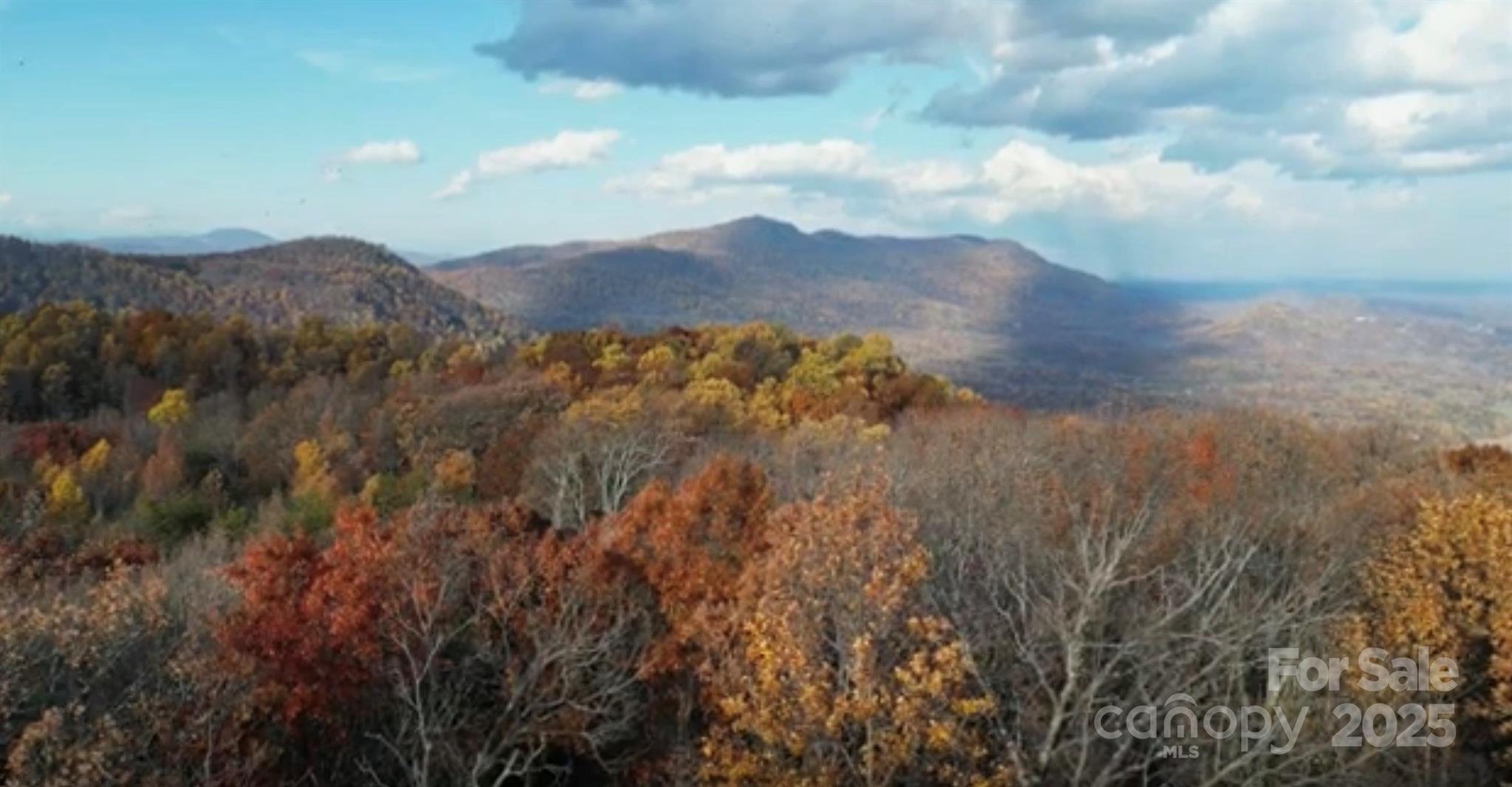 630-631 Melrose Mountain Road Tryon, NC 28782 - Photo 11 of 18 a view of mountain and tree in the background