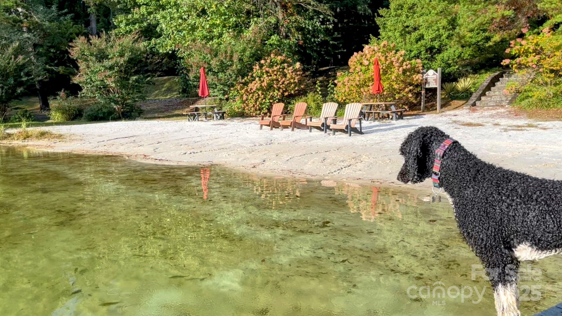 630-631 Melrose Mountain Road Tryon, NC 28782 - Photo 12 of 18 a view of swimming pool with an outdoor space