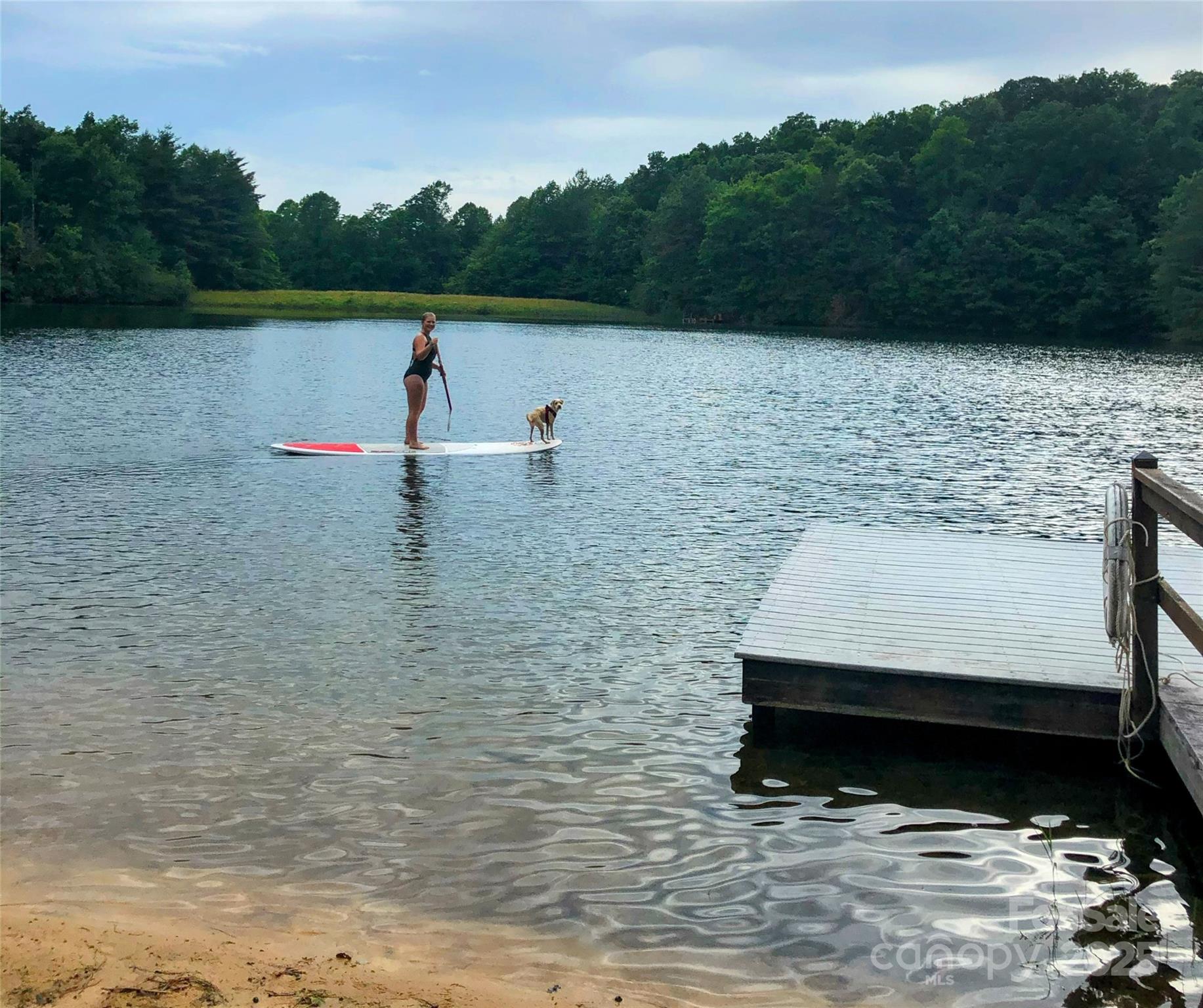630-631 Melrose Mountain Road Tryon, NC 28782 - Photo 15 of 18 a view of a lake