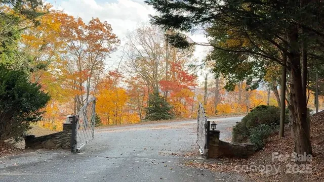 a view of a tree with a yard