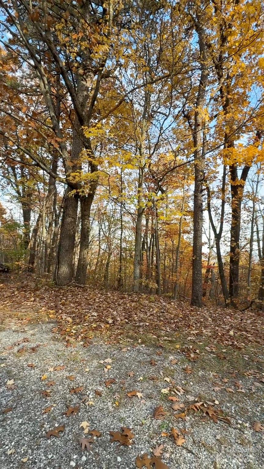 630-631 Melrose Mountain Road Tryon, NC 28782 - Photo 9 of 18 a view of a yard with large trees
