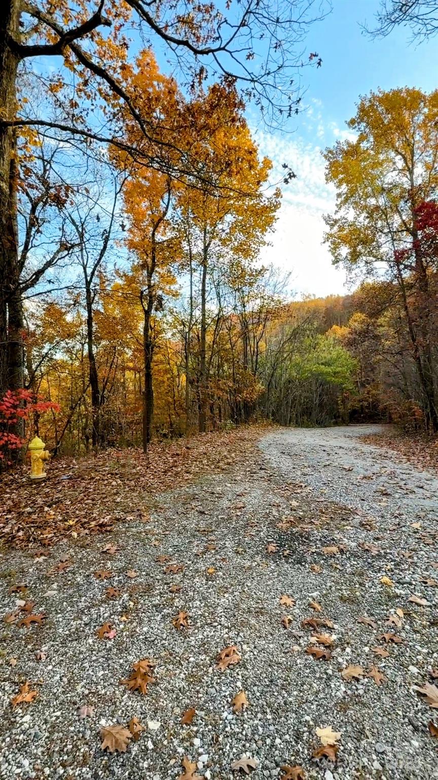 630-631 Melrose Mountain Road Tryon, NC 28782 - Photo 10 of 18 a view of a yard