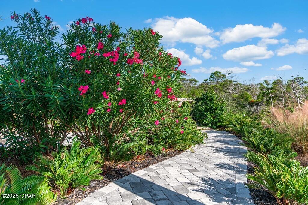 224 Haven Road Port St. Joe, FL 32456 - Photo 57 of 84