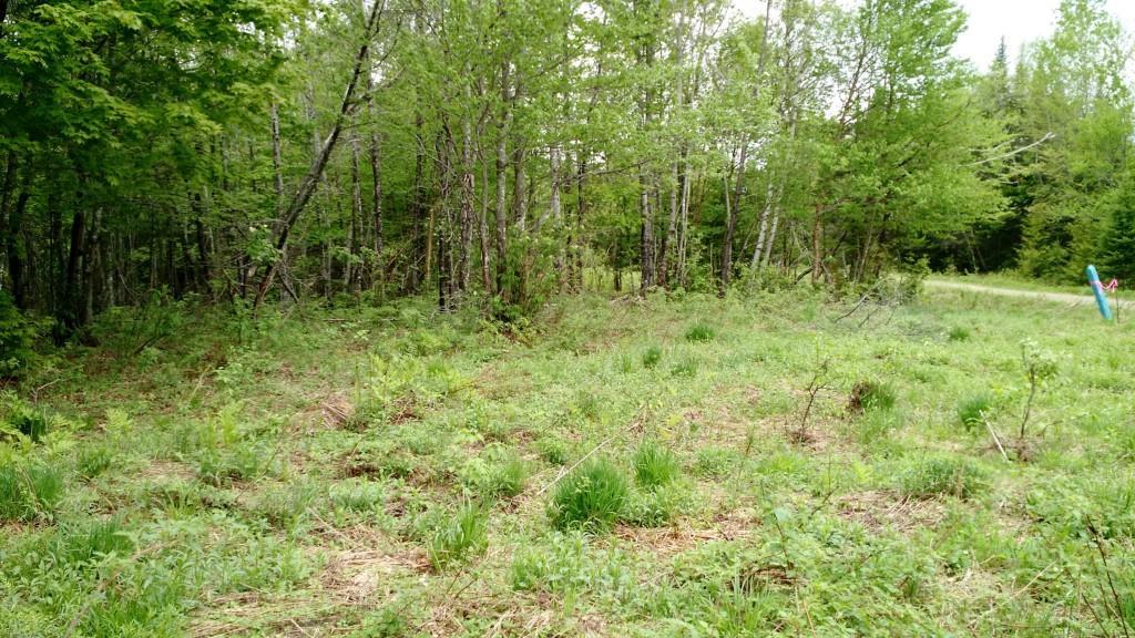 Lot 8 Davis Brook Amity, ME 04471 - Photo 11 of 11 Photo