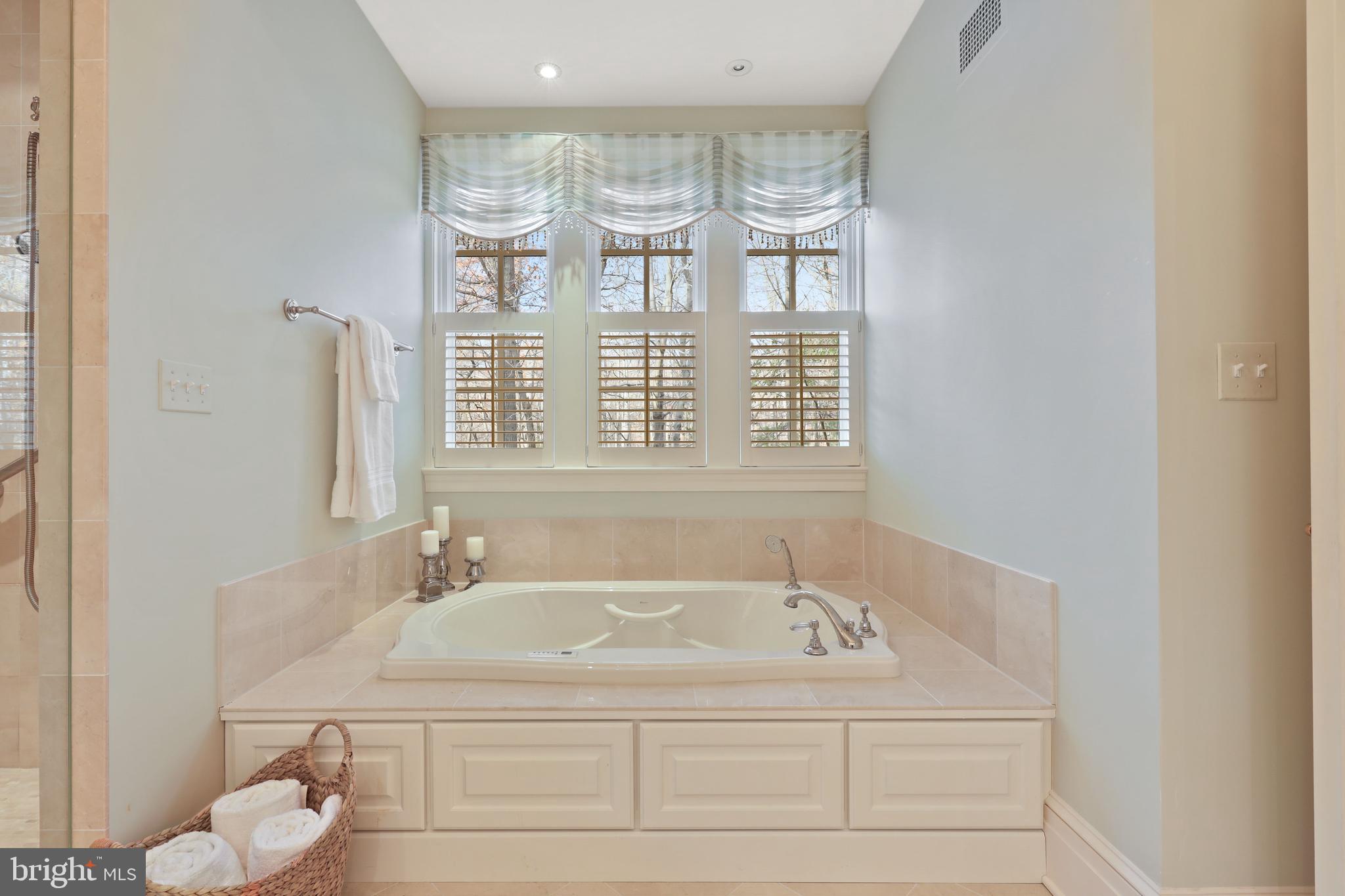3125 Blendon Road Owings Mills, MD 21117 - Photo 36 of 71 Primary Bath