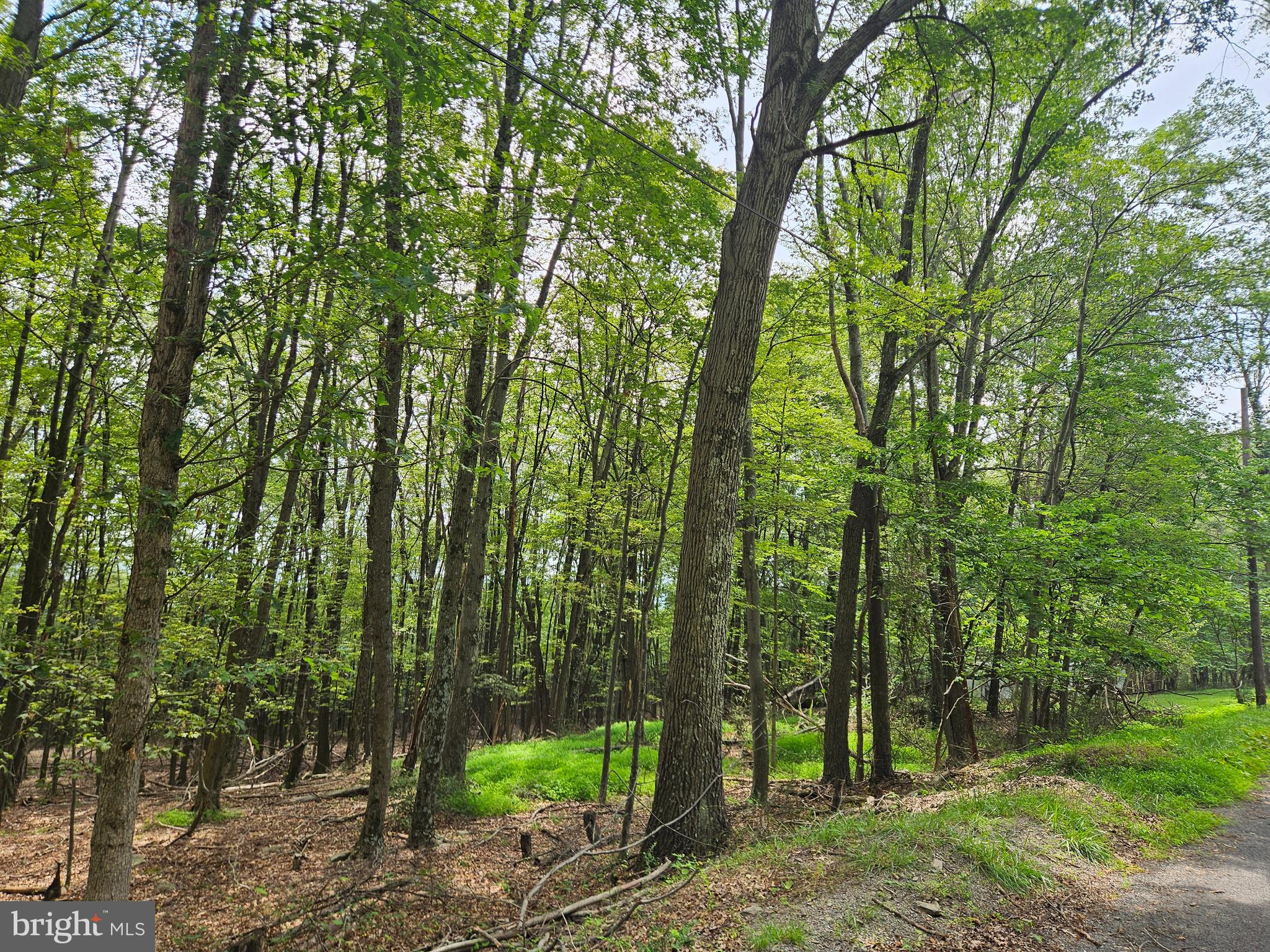 Elbinsville Road Flintstone, MD 21530 - Photo 4 of 8 Gallery Image 4