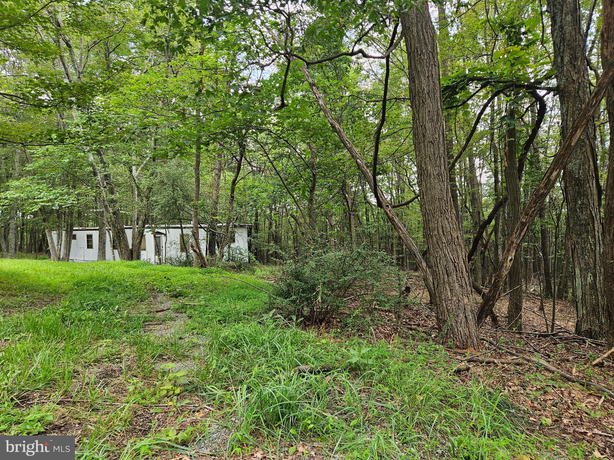 Elbinsville Road Flintstone, MD 21530 - Photo 7 of 8 Gallery Image 7