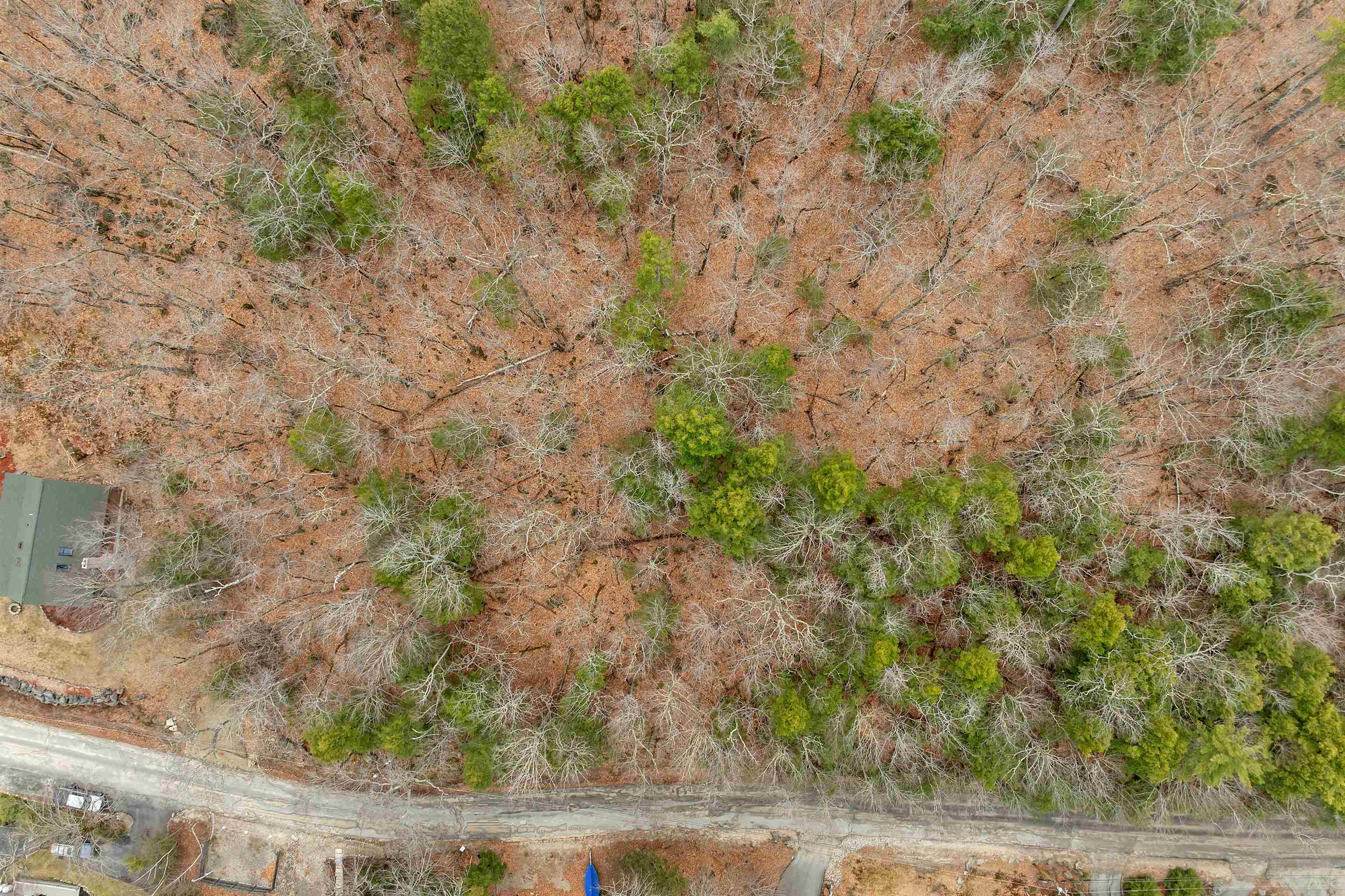 360 South Shore Road New Durham, NH 03855 - Photo 36 of 59