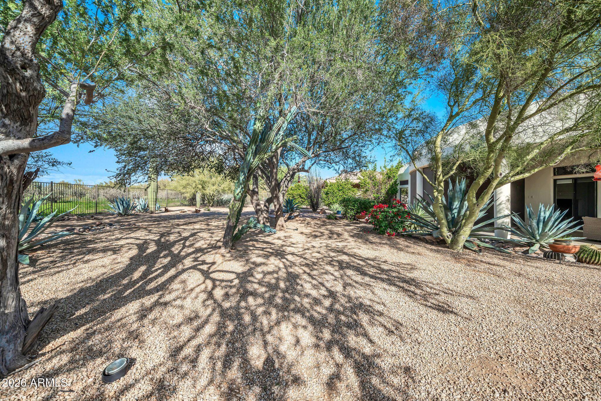 27902 North Agua Verde Drive Rio Verde, AZ 85263 - Photo 53 of 62 a view of road with trees