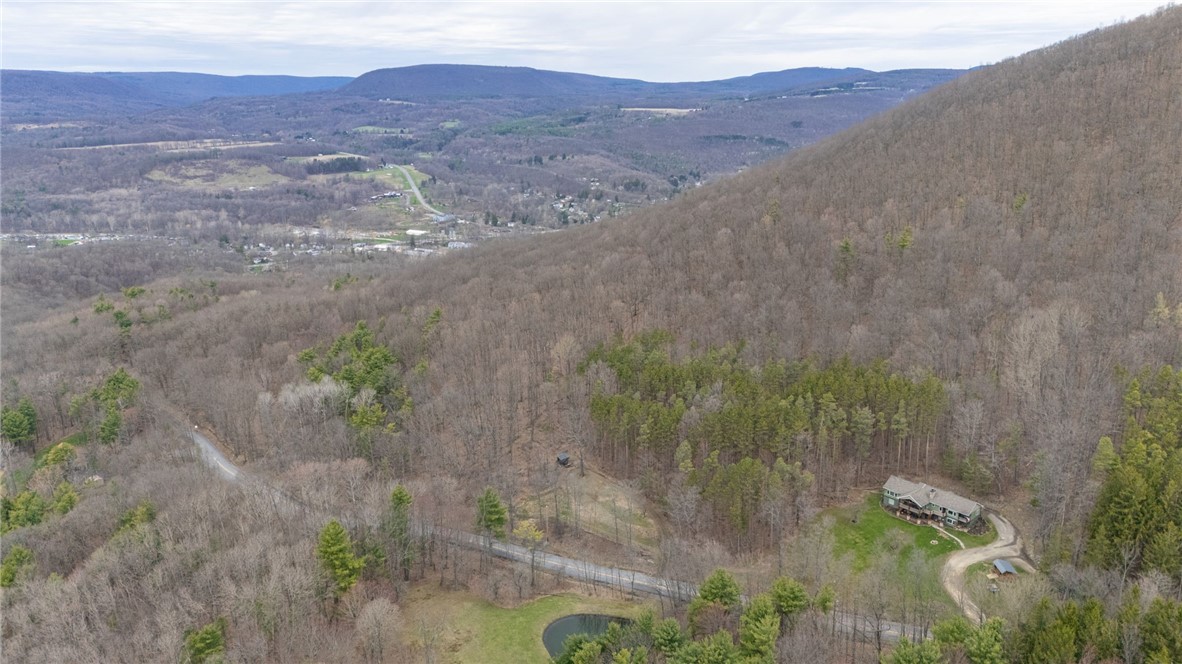 6600 East Hill Road Naples, NY 14512 - Photo 34 of 47