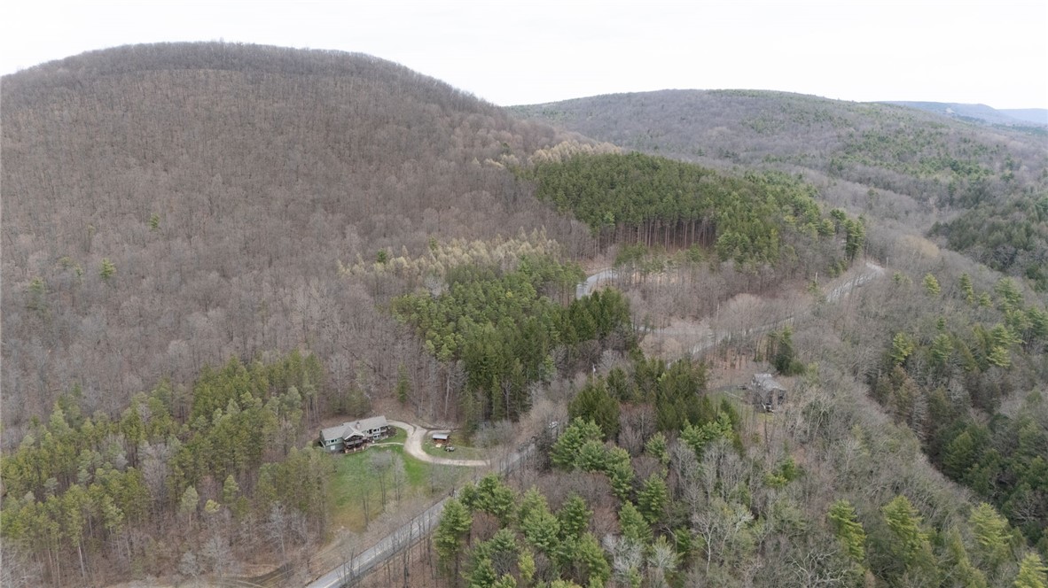 6600 East Hill Road Naples, NY 14512 - Photo 35 of 47