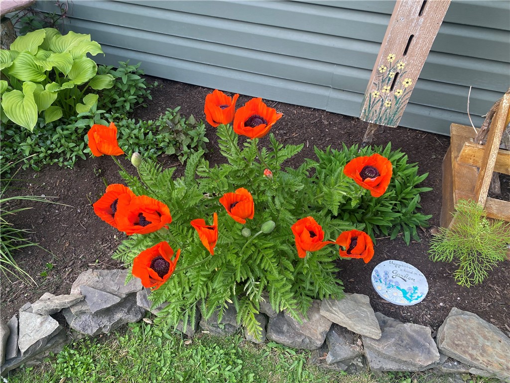 6600 East Hill Road Naples, NY 14512 - Photo 43 of 47