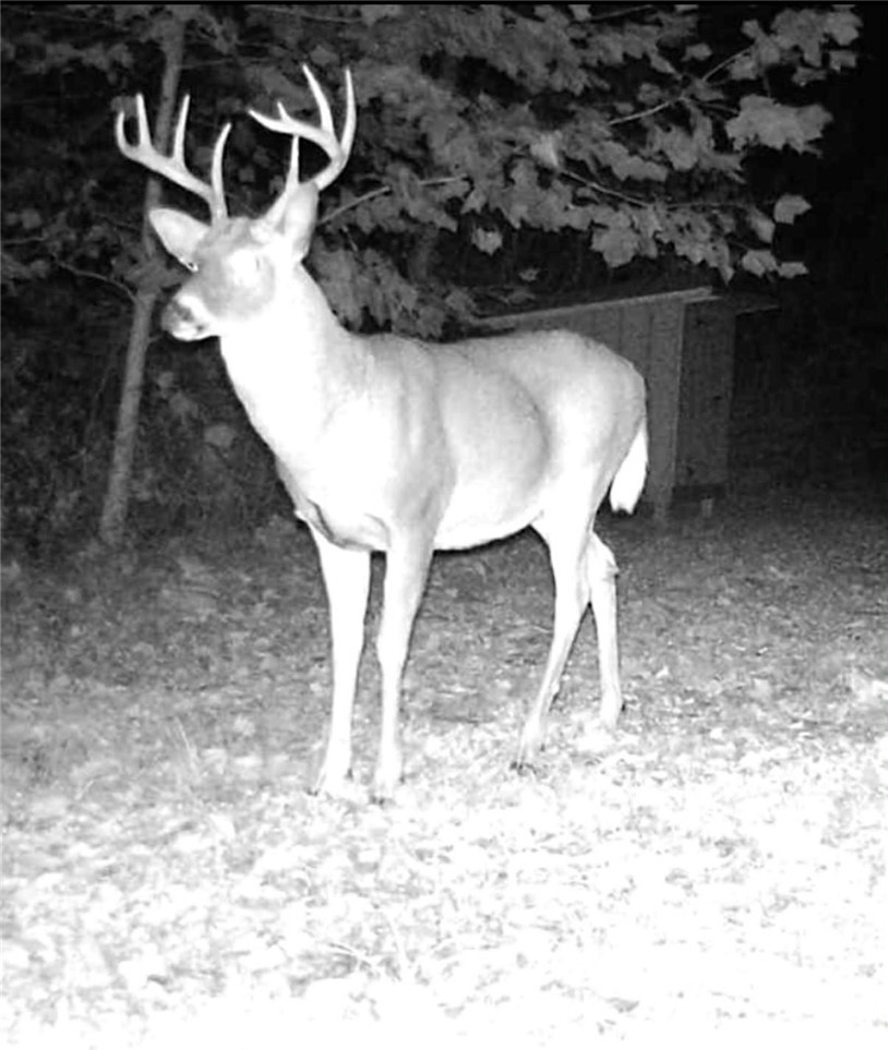 6600 East Hill Road Naples, NY 14512 - Photo 45 of 47 Incredible Hunting!