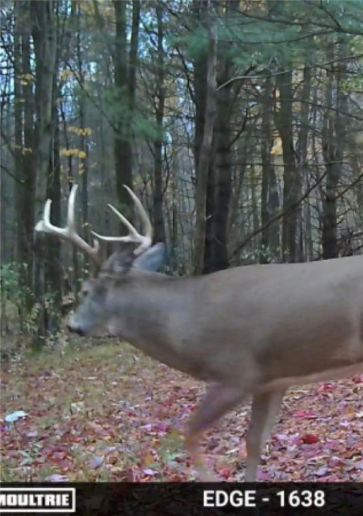 6600 East Hill Road Naples, NY 14512 - Photo 46 of 47