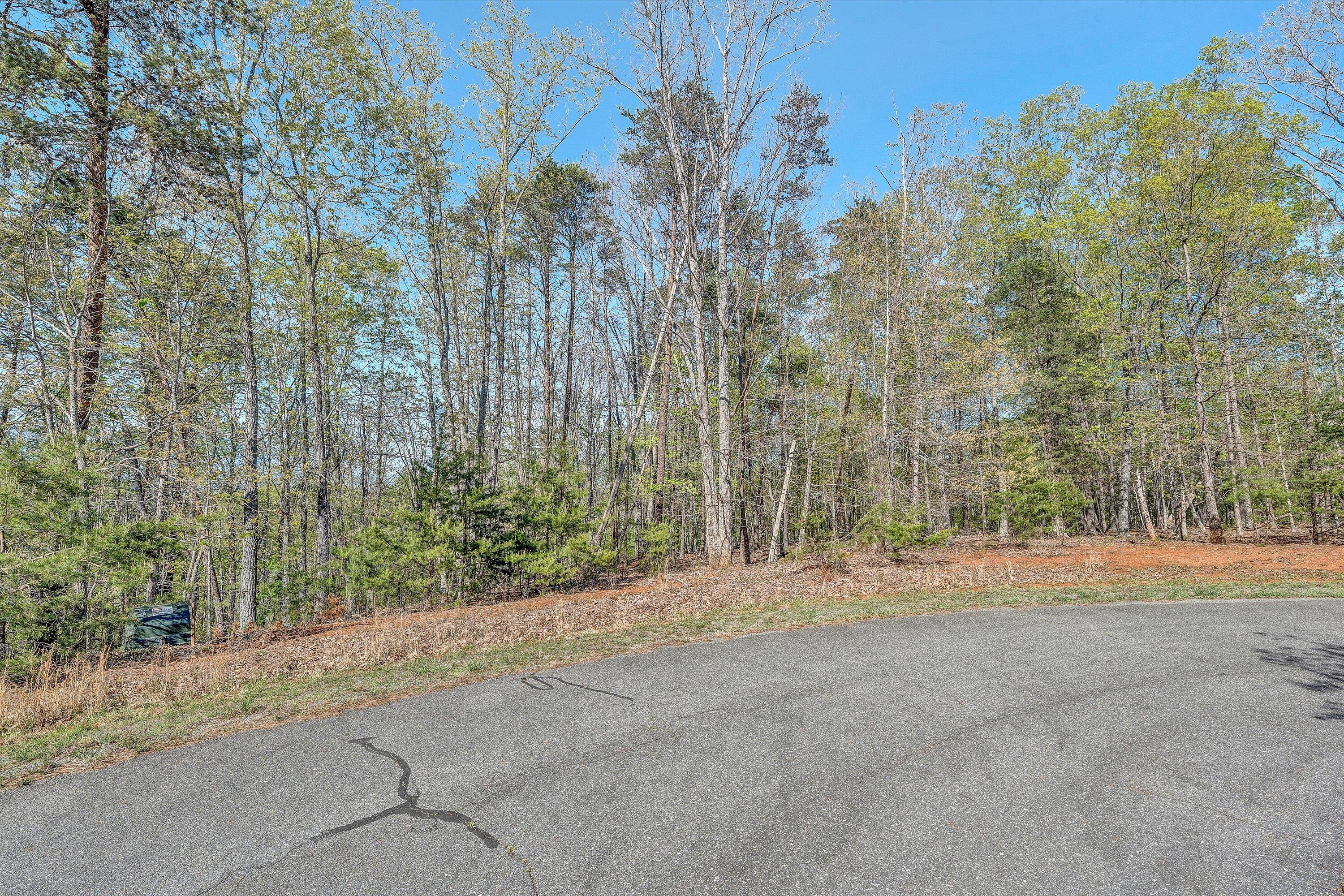 Lot 11-12 Robin Ridge Court Pittsville, VA 24139 - Photo 16 of 18 11-DSC00529