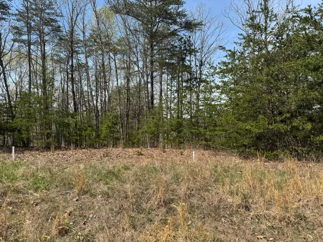 $78,000 | Lot 11-12 Robin Ridge Court, Pittsville, VA 24139