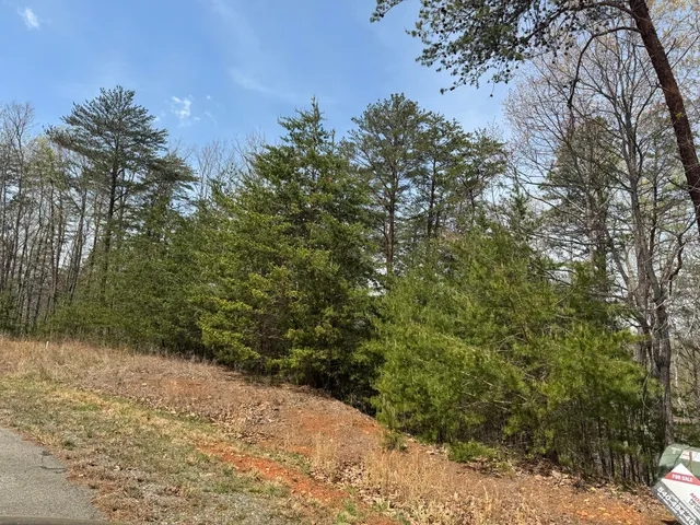$78,000 | Lot 11-12 Robin Ridge Court, Pittsville, VA 24139