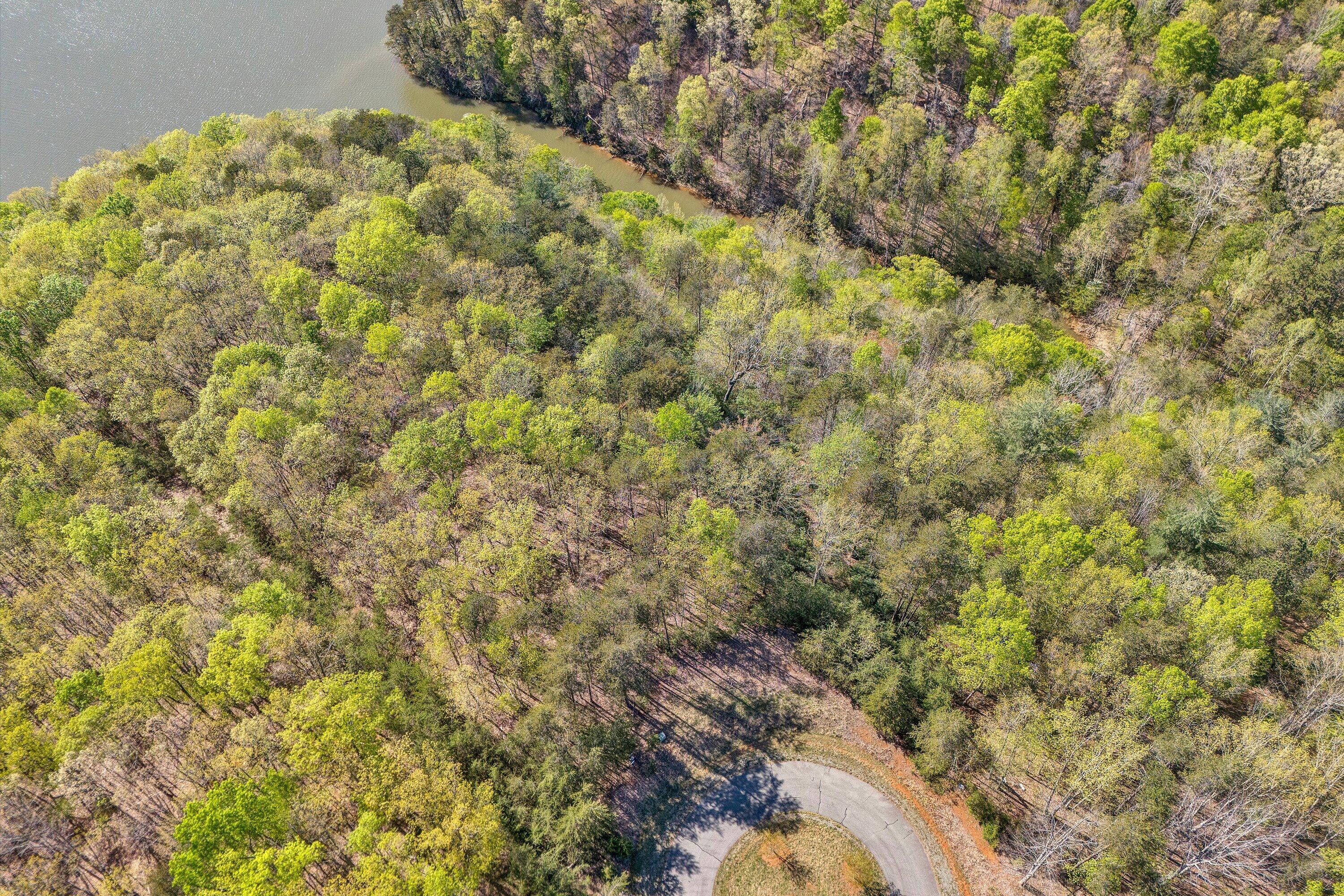 Lot 11-12 Robin Ridge Court Pittsville, VA 24139 - Photo 9 of 18 04-DJI_20250416163908_0139