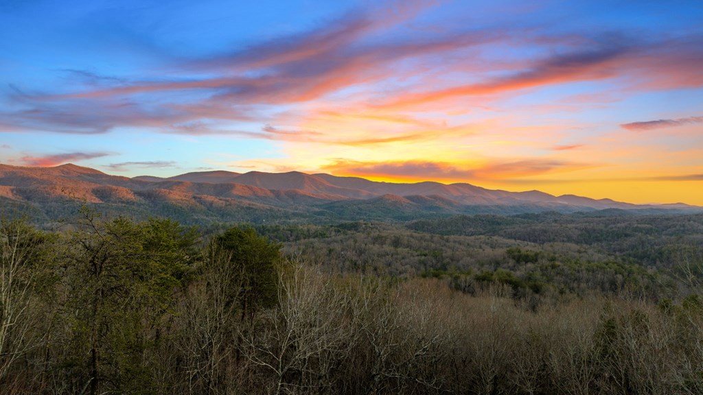 1110 Overlook Road Blue Ridge, GA 30513 - Photo 2 of 37