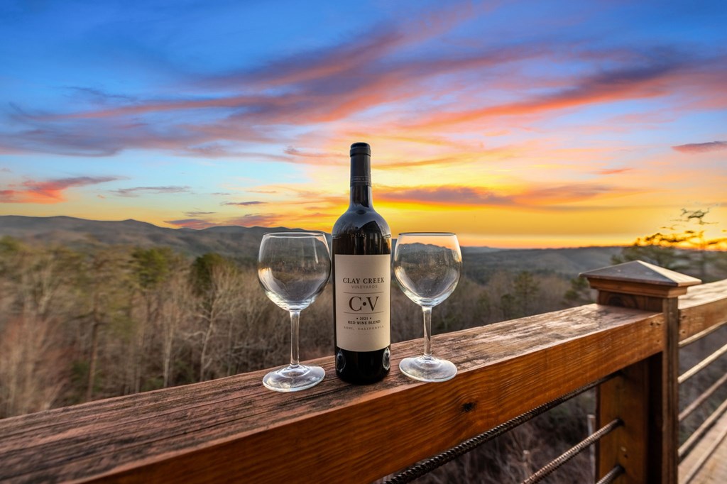 1110 Overlook Road Blue Ridge, GA 30513 - Photo 33 of 37