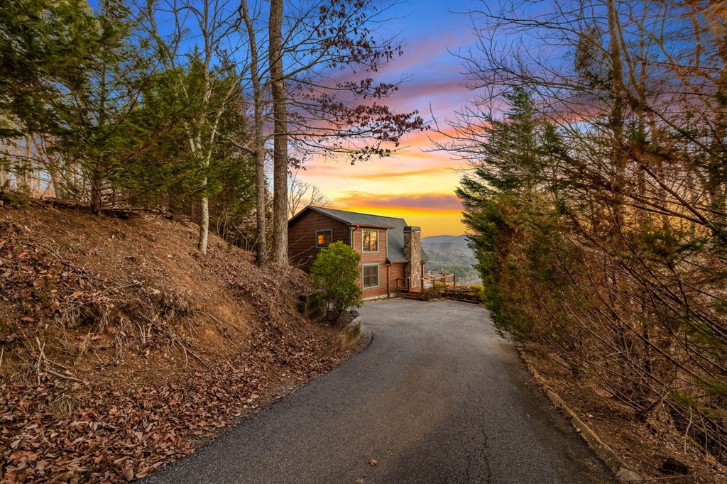 1110 Overlook Road Blue Ridge, GA 30513 - Photo 4 of 37