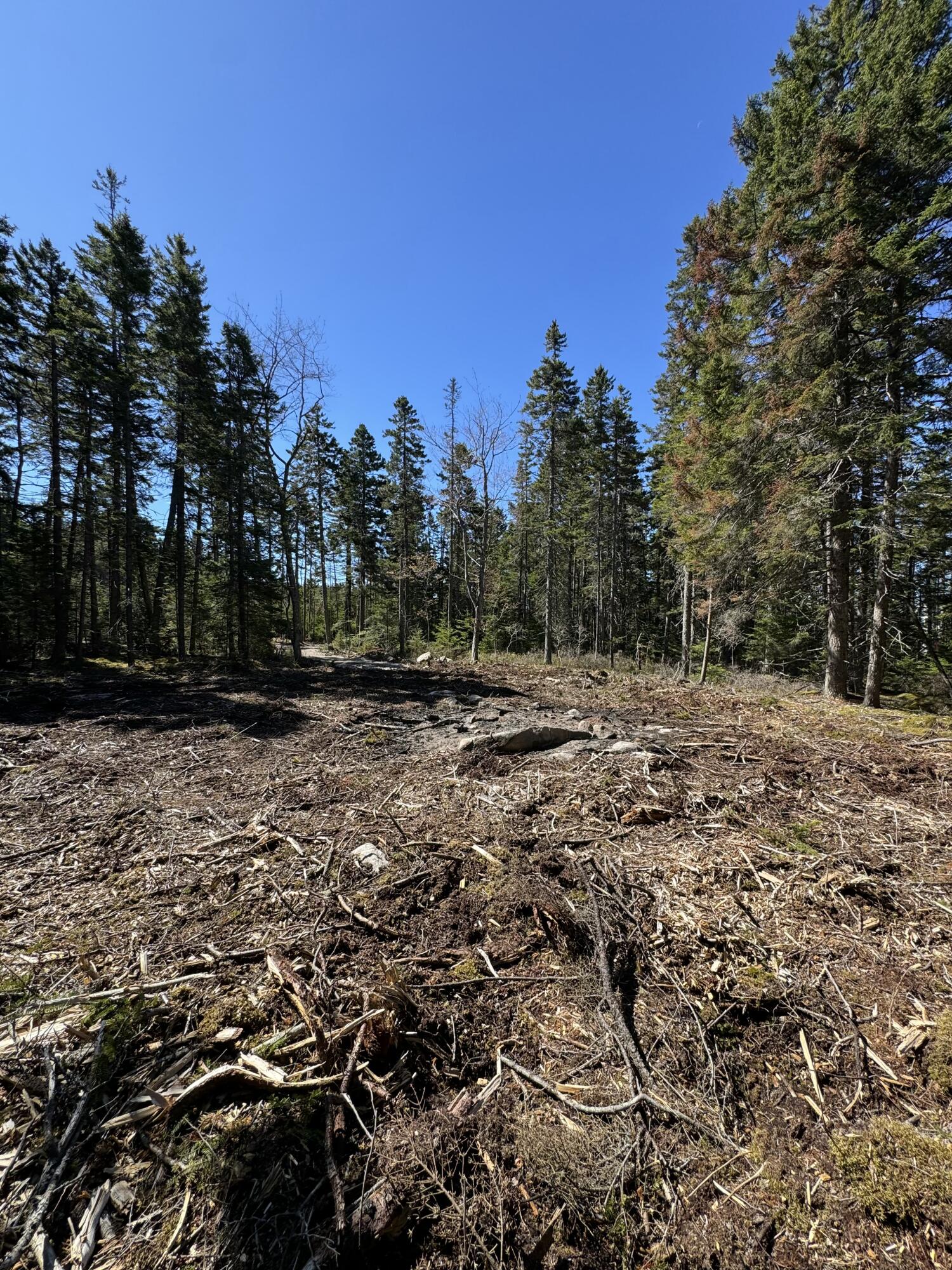 12 Jamestown Road Vinalhaven, ME 04863 - Photo 11 of 17