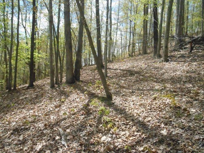 3758 East Fork Road Means, KY 40346 - Photo 29 of 30 Photo 29