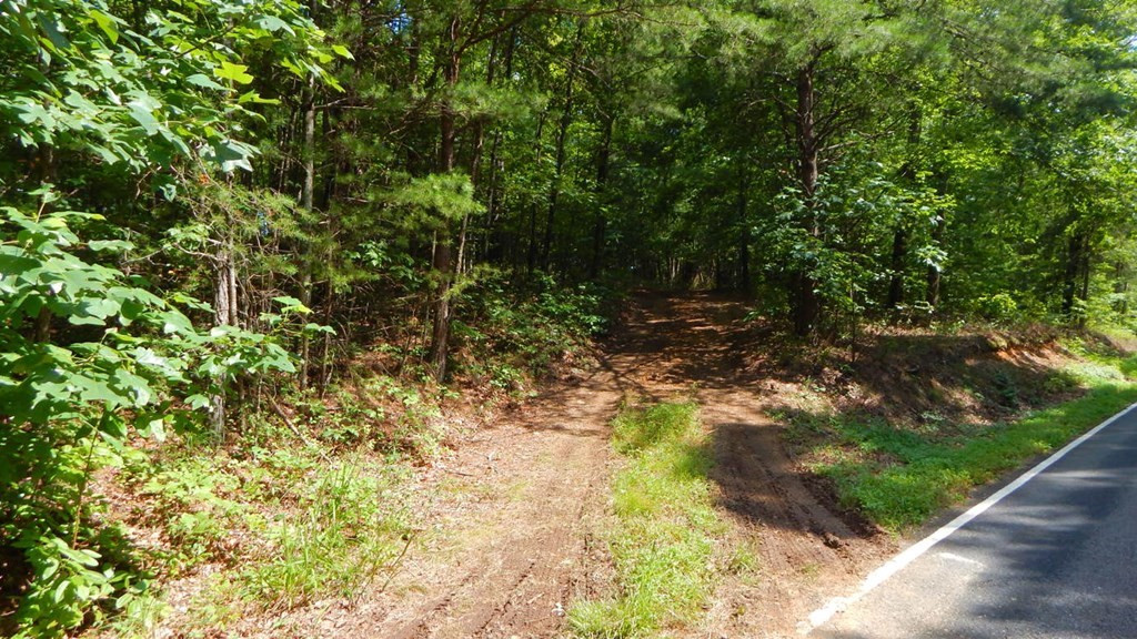 14.89-ac Hot House Road Murphy, NC 28906 - Photo 2 of 19