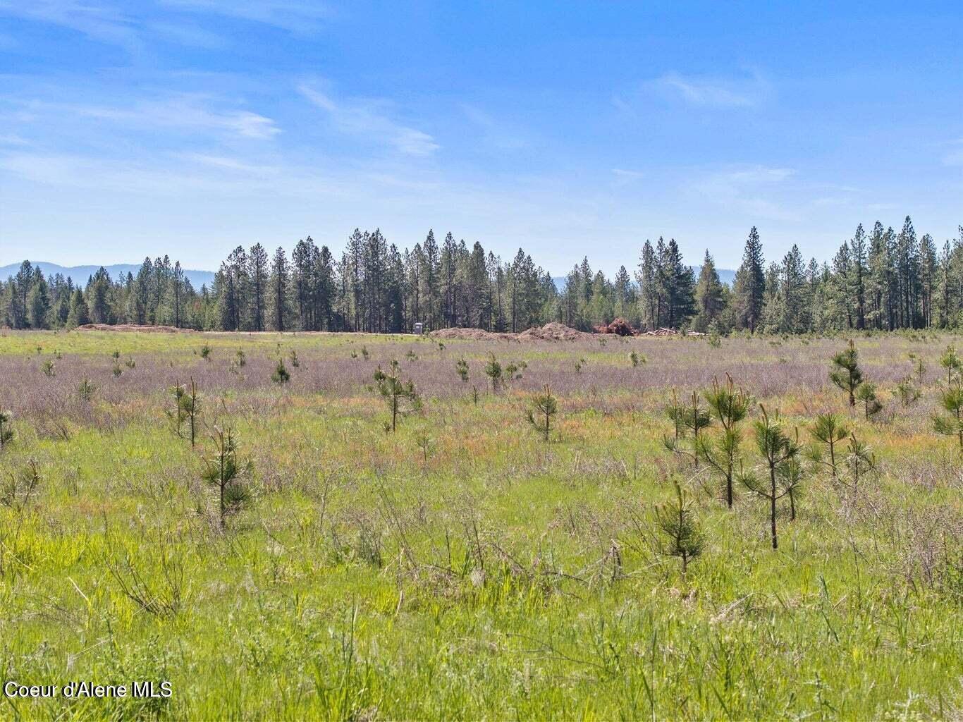 3 Ellington Court Rathdrum, ID 83858 - Photo 12 of 16 Oakridge manor-ananda johnson