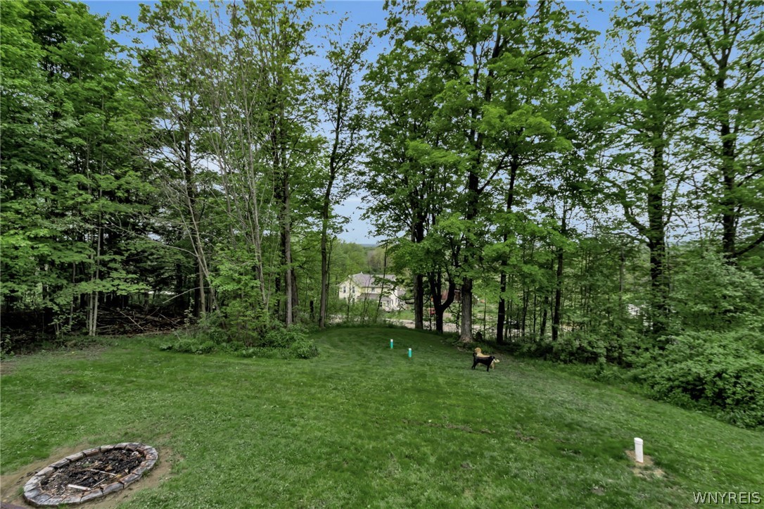 10588 Edies Road Springville, NY 14141 - Photo 11 of 49