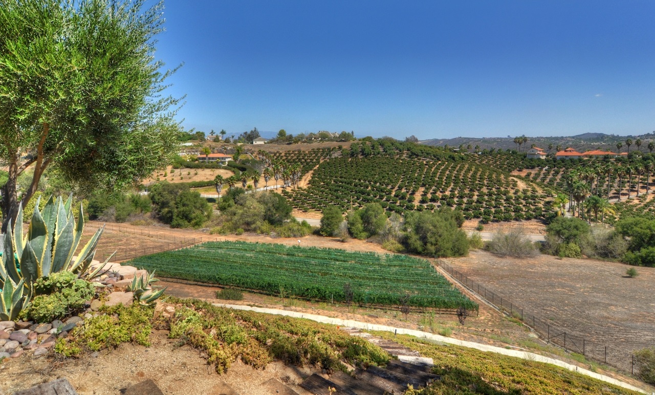 4444 Fallsbrae Road Fallbrook, CA 92028 - Photo 7 of 25