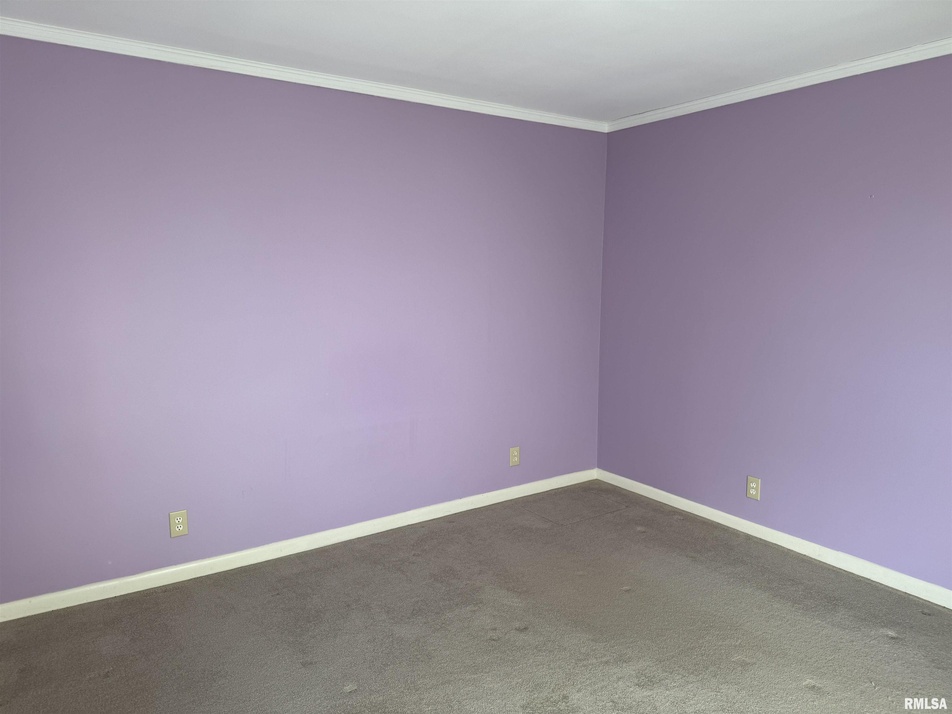 10555 Lincoln Road Benton, IL 62812 - Photo 54 of 65 Gallery Image 54