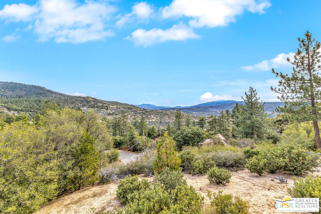 53440 West Ridge Road Idyllwild, CA 92549 - Photo 46 of 66
