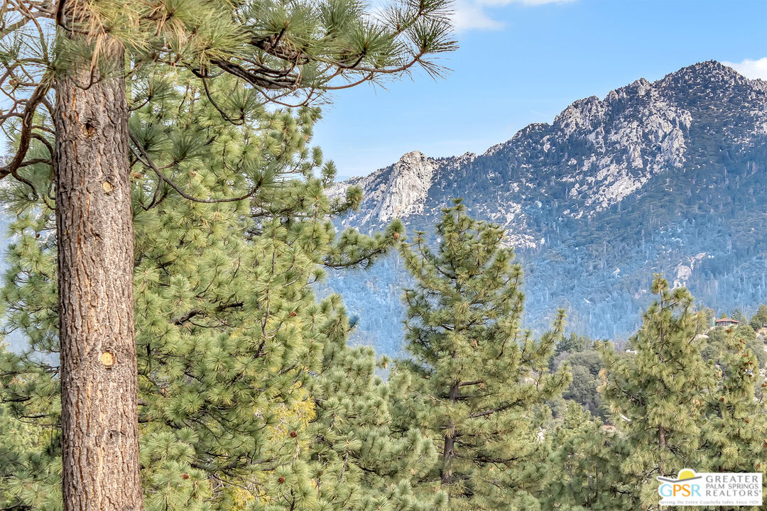 53440 West Ridge Road Idyllwild, CA 92549 - Photo 49 of 66