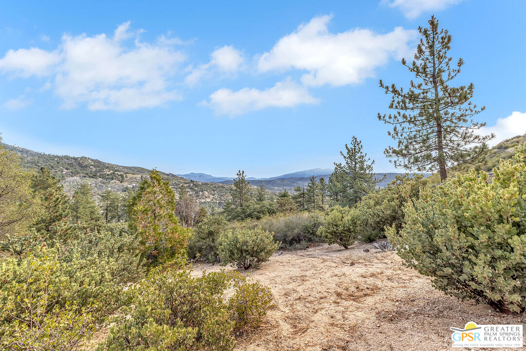 53440 West Ridge Road Idyllwild, CA 92549 - Photo 65 of 66