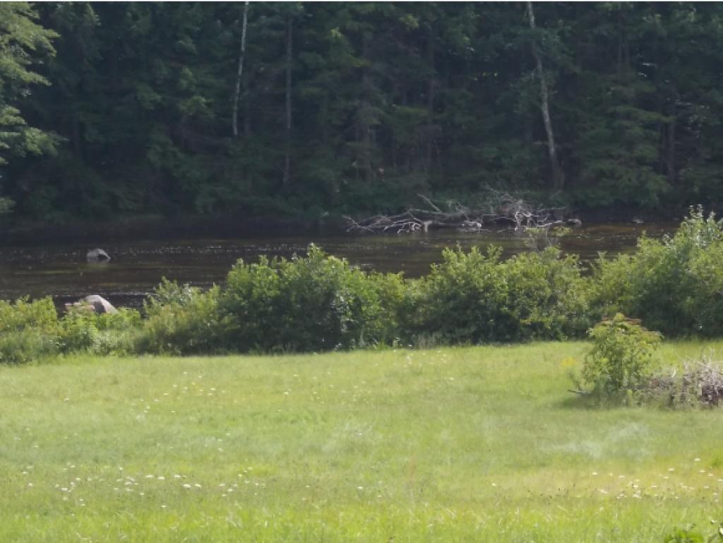 117-119 Porter Road Freedom, NH 03836 - Photo 5 of 14 Gallery Image 5