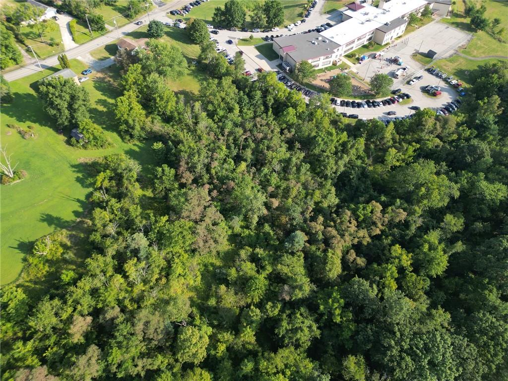 0 Center New Texas Road Pittsburgh, PA 15239 - Photo 6 of 7 a picture of a tree