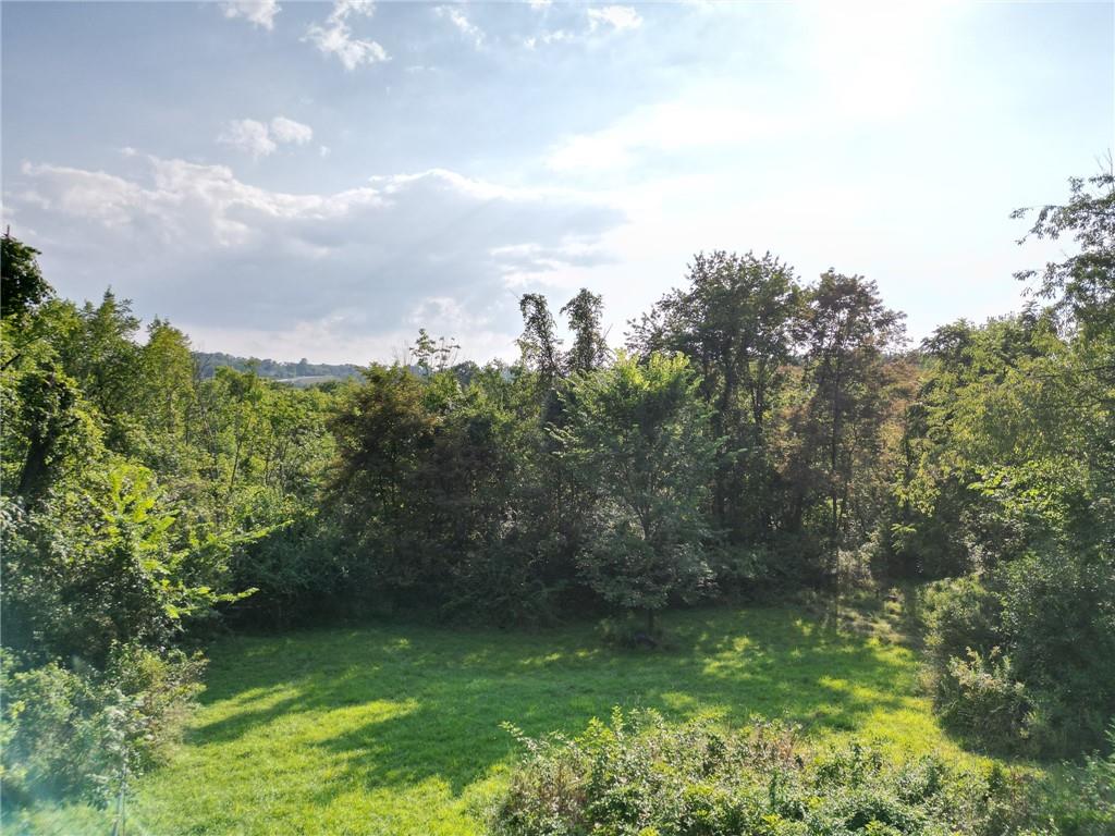 0 Center New Texas Road Pittsburgh, PA 15239 - Photo 7 of 7 a view of a garden with a tree