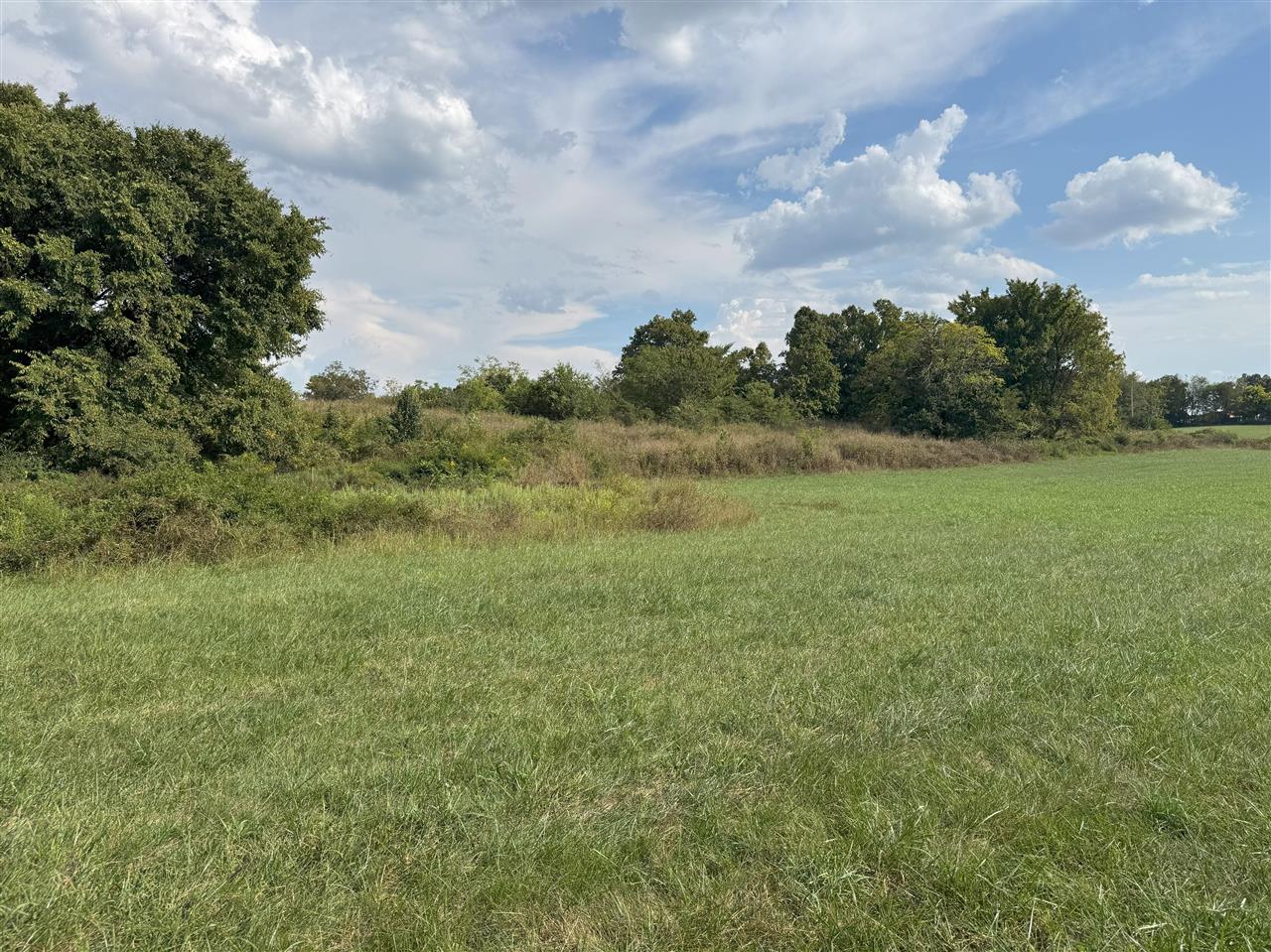 825 Friendship Church Road Scottsville, KY 42164 - Photo 12 of 32 Gallery Image 12