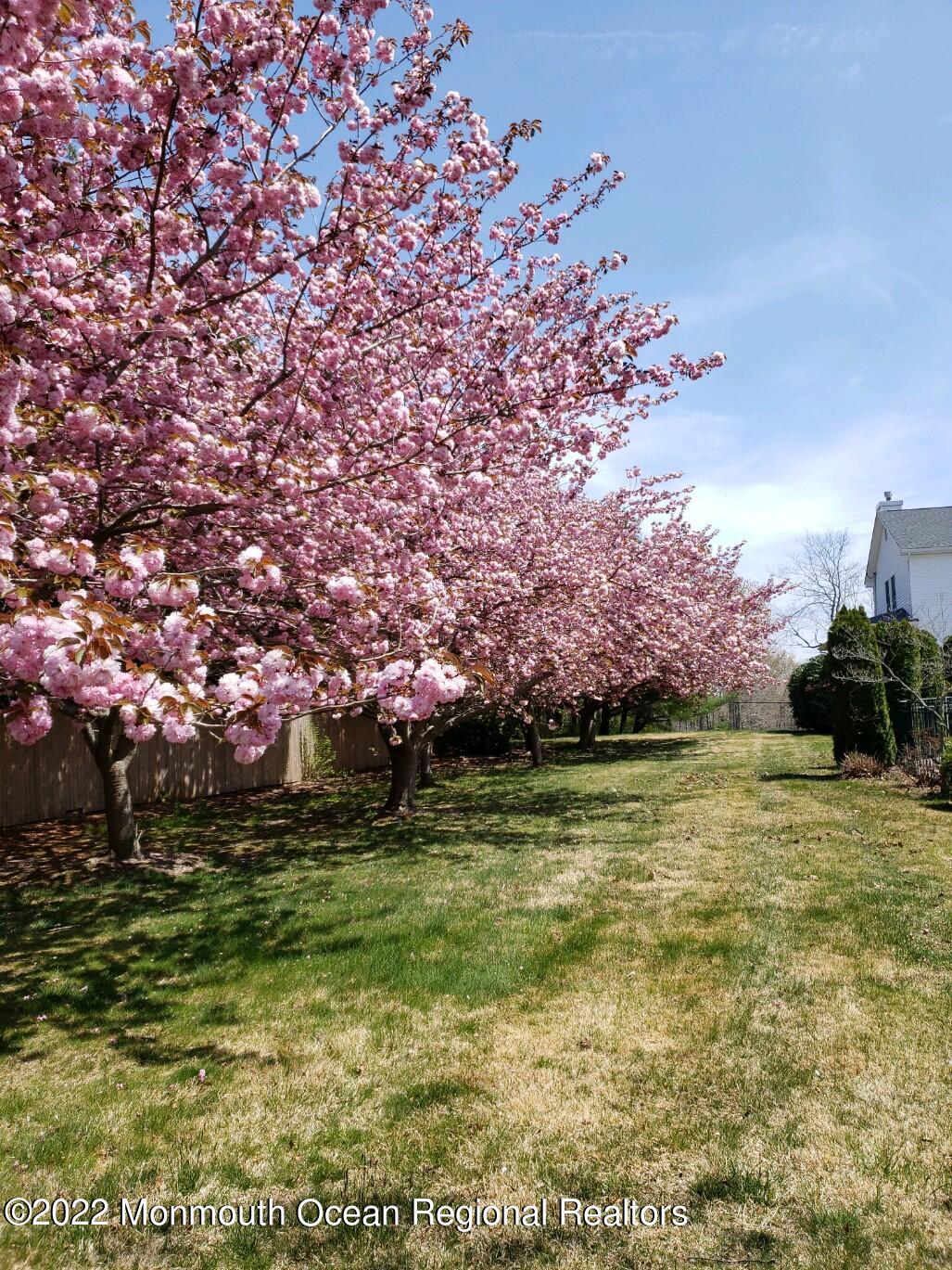 1296 Ridge Avenue Manahawkin, NJ 08050 - Photo 88 of 124 output_image1651427651078