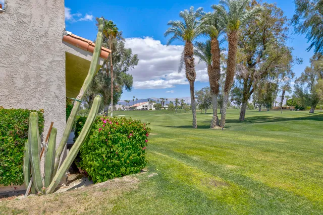 a view of a park with palm trees