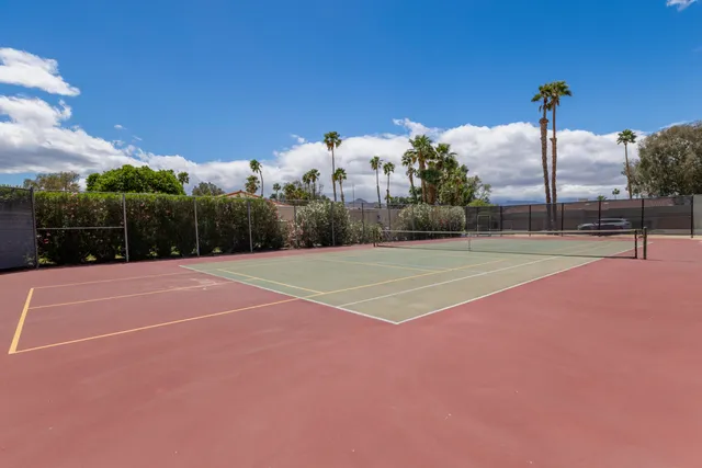 a view of a street with a palm tree