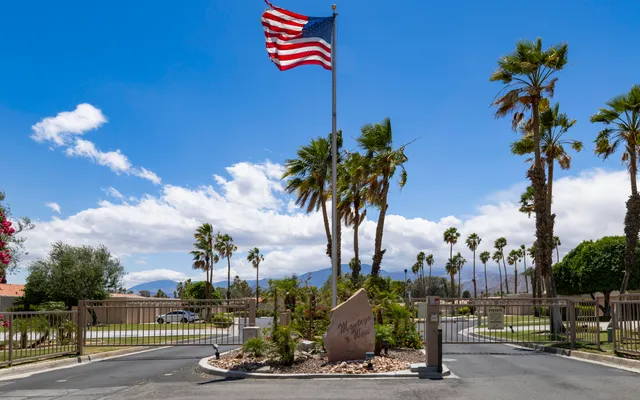 a view of a park with large trees
