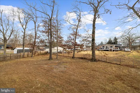 a view of yard with tree