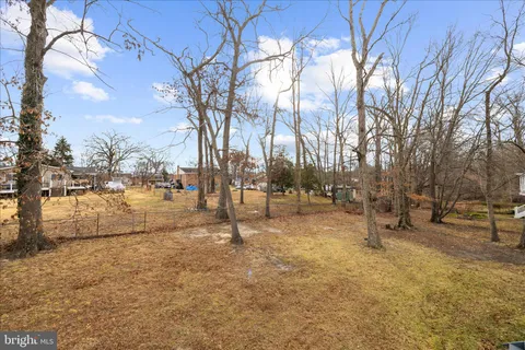 a view of park with tree