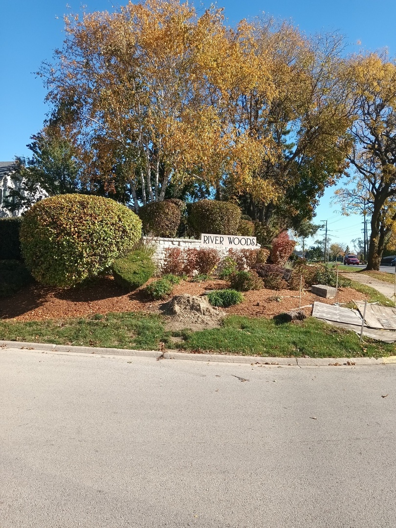 3 Merrimack Court Bolingbrook, IL 60440 - Photo 1 of 6 a view of a yard